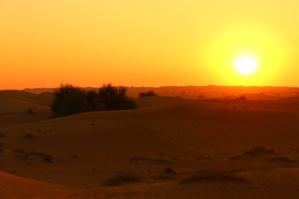 Sunset over the Arabian desert - Dubai, United Arab Emirates